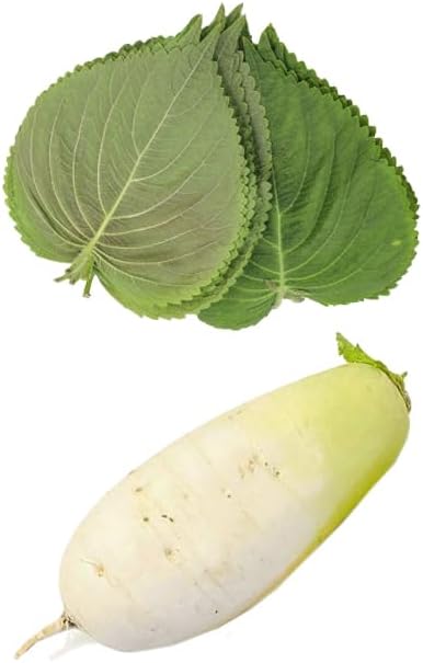 Bundle Green Korean Shiso/Egoma/Sesami Herb Seeds + Korean Radish Seeds for Planting