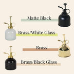 Modern Sprout Plant Mister, 8 oz Indoor Watering Can, Aesthetic Plant Sprayer & Water Mister Spray Bottle, Garden Watering Can for Seed Starting, Vintage-Inspired Gift for Green Lovers - Black