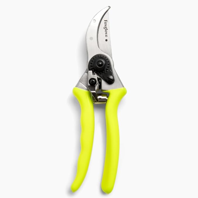 Foxglove Pruning Shears – Professional Garden Shears & Bypass Hand Pruners with Japanese SK5 High Carbon Steel Blades, Heavy Duty Garden Clippers & Gardening Tools