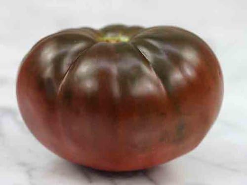 Black Brandywine Tomato Live Plants, 2 Pack, 4-8 Inch Tall Garden Seedlings, Potted Vegetable Plants for Outdoor Patio Growing