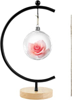 YY YEARCHY Ornament Display Stand Metal Stand Terrarium Air Plant Stand Flower Pot Holder Iron Pothook Stand for Hanging Glass Globe Ball