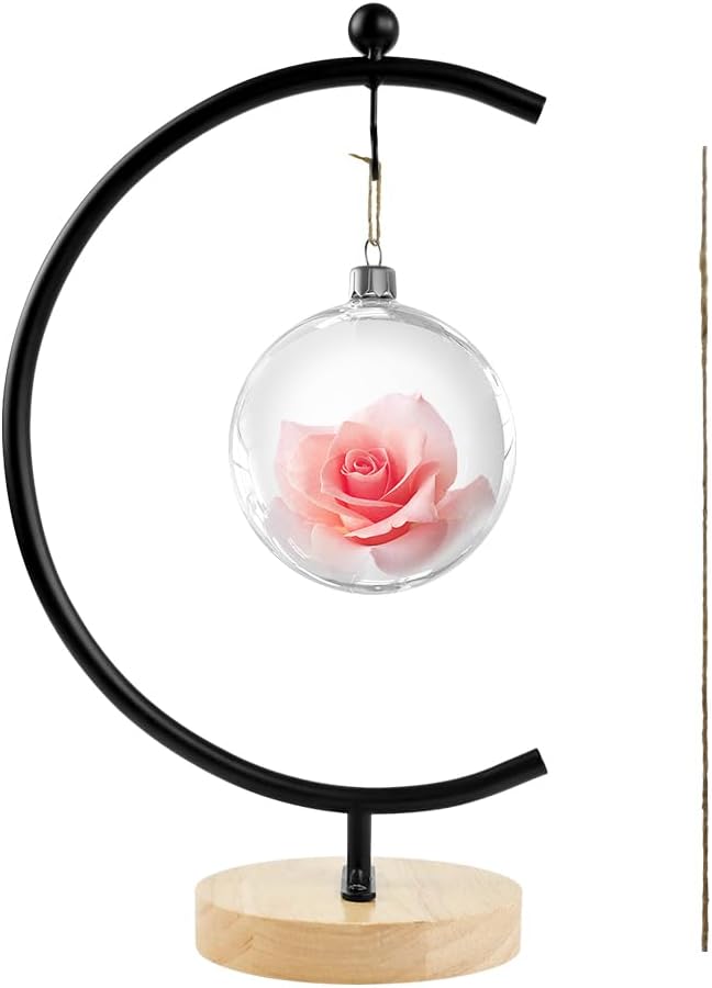 YY YEARCHY Ornament Display Stand Metal Stand Terrarium Air Plant Stand Flower Pot Holder Iron Pothook Stand for Hanging Glass Globe Ball