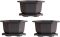 CZ Grain Large Hexagonal Bonsai Pot and Drip Tray - 11 inch Container with Tray (3 Pots)