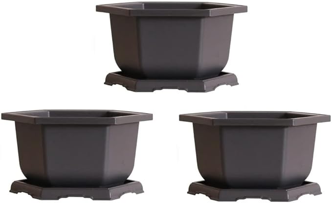 CZ Grain Large Hexagonal Bonsai Pot and Drip Tray - 11 inch Container with Tray (3 Pots)