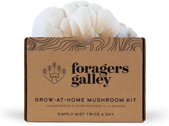 Lion's Mane Mushroom Growing Kit - 6lbs - Mushroom Grow Kit, Indoor Growing, Easy to Use, Grow Lions Mane at Home