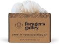 Lion's Mane Mushroom Growing Kit - 6lbs - Mushroom Grow Kit, Indoor Growing, Easy to Use, Grow Lions Mane at Home
