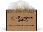 Lion's Mane Mushroom Growing Kit - 6lbs - Mushroom Grow Kit, Indoor Growing, Easy to Use, Grow Lions Mane at Home