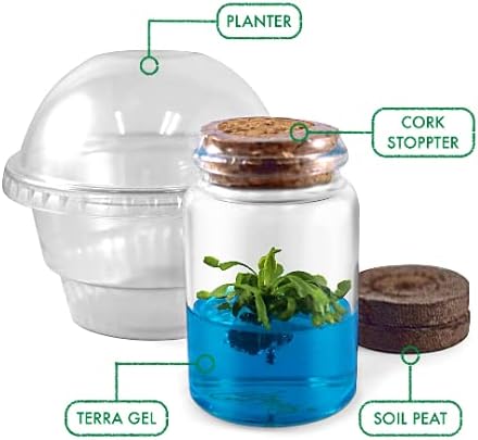 Venus Flytrap Kit, Live Venus Fly Trap Terrarium Included/DIY Beginner Friendly Starter Kit, Educational Growing Plant, Exotic Native