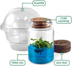 Venus Flytrap Kit, Live Venus Fly Trap Terrarium Included/DIY Beginner Friendly Starter Kit, Educational Growing Plant, Exotic Native