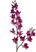 Larksilk 34" Purple Silk Dendrobium Orchid – Realistic Faux Orchid Stem with 17 Lifelike Flowers for Vases & Decor