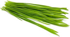 Todd's Seeds Wheatgrass Seeds; Hard Red Winter Wheat, Non-GMO, Chemical Free, High Germination (5 Pounds)