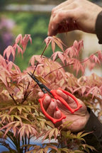 Felco 420 Trimming Scissors – 6.1" Garden Clippers with Fine Tip & Non-Stick Blade | Pruning Shears for Gardening | Garden Scissors for Plant with Stainless Steel Blade, Built-In Ruler
