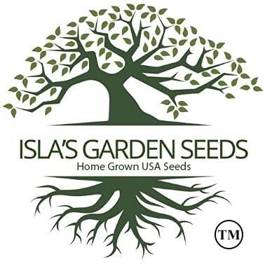 Perpetual Spinach Seeds for Planting, 300+ Heirloom Seeds Per Packet, (Isla's Garden Seeds), Non GMO Seeds, Botanical Name: Beta vulgaris subsp. vulgaris, Great Home Garden Gift