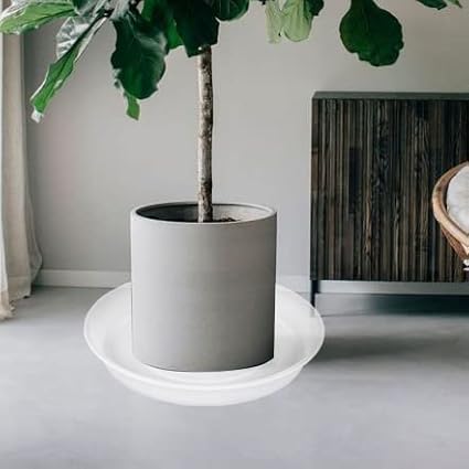 2 Pack of 10 inch Plant Saucer Gray, Heavy Duty Plastic Plant Saucer 10 inch Round, Durable Plant Tray for Pots, Plant Saucers for Indoors, Plant Trays for Planter 9"/10" (10", Clear)