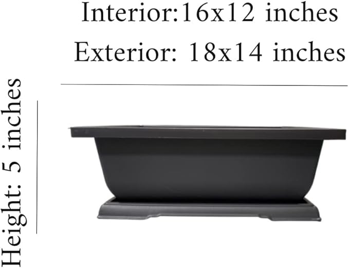 CZ Grain Giant 18 Inch Bonsai Pot and Drip Tray - Biggest Bonsai Display Pot on The Internet