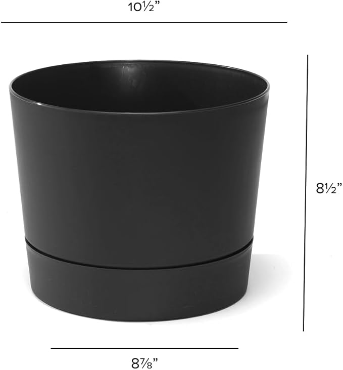 Root & Vessel Majestic Mid-Century Modern Low Profile Cylinder Pot, Matte Black, 10.5"