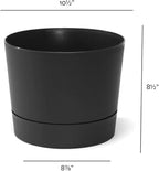 Root & Vessel Majestic Mid-Century Modern Low Profile Cylinder Pot, Matte Black, 10.5"