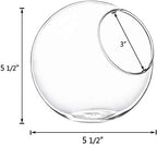 Mkono Plant Terrarium Display Glass Tabletop Succulent Air Plant Planter Globe Microlandschaft House, M