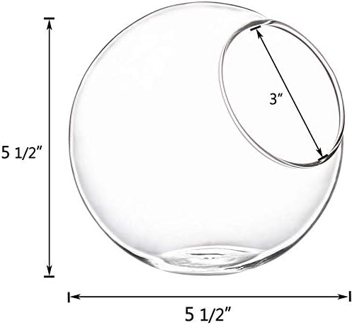 Mkono Plant Terrarium Display Glass Tabletop Succulent Air Plant Planter Globe Microlandschaft House, M