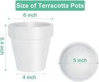 vensovo 6 Inch White Terracotta & Clay Pots for Plant with Saucer - 4 Pack Medium Terra Cotta Planter with Drainage Hole, Flowerpot for Indoor Outdoor Plants, Crafts, Wedding Favor