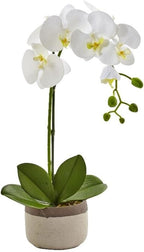 Pemberly Row Faux Phalaenopsis Orchid, 19 in Tall, White Blossoms, Two-Toned Ceramic Pot, Textured Realistic Petals and Leaves, Elegant Decor for Vanity, Bedside or Living Room
