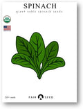 Organic Bloomsdale Spinach Seeds Pack – 400+ High Germination Non-GMO Heirloom Spinach Seeds for Planting – Great in Soil or Hydroponic
