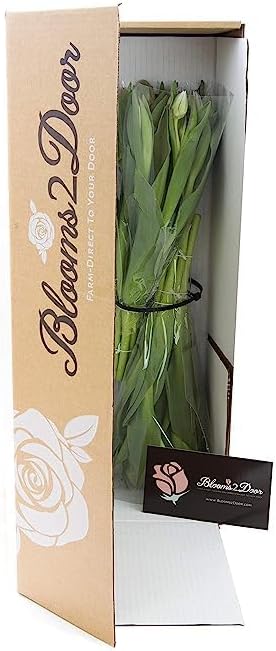 KaBloom PRIME OVERNIGHT DELIVERY - WEDDING COLLECTION - PREMIUM 20 Purple Tulips - Farm Direct Wholesale Fresh Flowers|Gift for Birthday, Anniversary, Thank You, Valentine, Mother’s Day Fresh Flowers