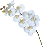 Artificial Phalaenopsis Orchid Realistic Faux Flower for Home Decoration, Hallway, Dining Table, and Living Room(9-headWhite)