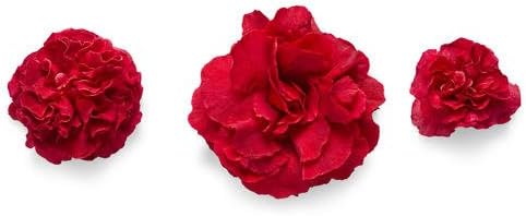 Proven Winners - Chaenomeles Double Take Scarlet (Quince) Shrub, scarlet/ thornless, #2 - Size Container