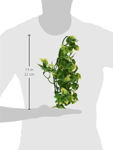 Exo Terra Plastic Terrarium Plant, Medium, Amapallo