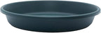 The HC Companies Flower Pot Saucers - Plastic Plant Saucer for Outdoors & Indoors - Traditional Design Plant Pot Trays for Water Drainage - Durable & Stylish Round Plant Tray (8-inch Evergreen)