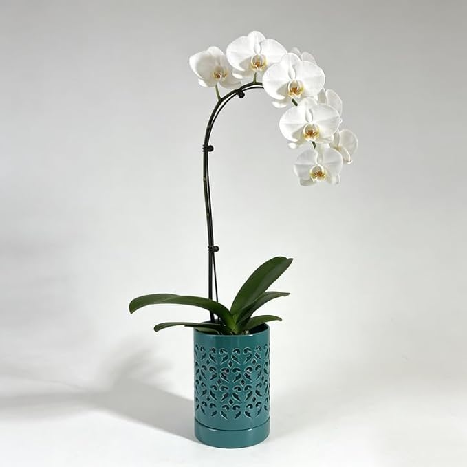 Ceramic Orchid Pot 4 Inch, Orchid Pots with Holes, Plant Pot for Repotting, Flower Planter Pot Indoor Outdoor, Green Chirstmas Gift for Women.
