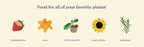 True Organic All Purpose Plant Food – Organic Fertilizer for Fruits, Vegetables, Flowers, and Herbs – 4.5lb Jug Covers 97 sq. ft.