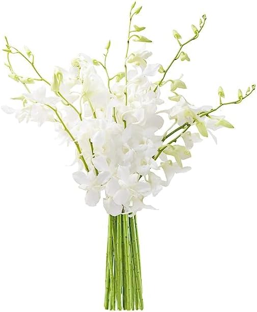 KaBloom PRIME NEXT DAY DELIVERY - Fall Collection - Seraphic Whisperings Bouquet of 10 White Orchid .Gift for Birthday, Get Well, Thank You, Valentine, Mother’s Day Fresh Flowers