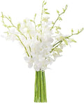 KaBloom PRIME NEXT DAY DELIVERY - Fall Collection - Seraphic Whisperings Bouquet of 10 White Orchid .Gift for Birthday, Get Well, Thank You, Valentine, Mother’s Day Fresh Flowers