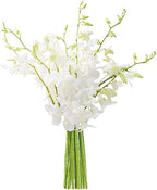 KaBloom PRIME NEXT DAY DELIVERY - Fall Collection - Seraphic Whisperings Bouquet of 10 White Orchid .Gift for Birthday, Get Well, Thank You, Valentine, Mother’s Day Fresh Flowers