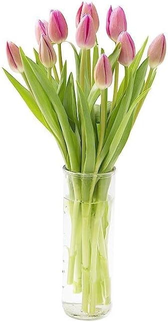 KaBloom - Barbie Pink Tulip : Bouquet of 20 Fresh Pink Tulip with Vase - Fresh Flowers for Birthday, Valentine's & Mother's Day