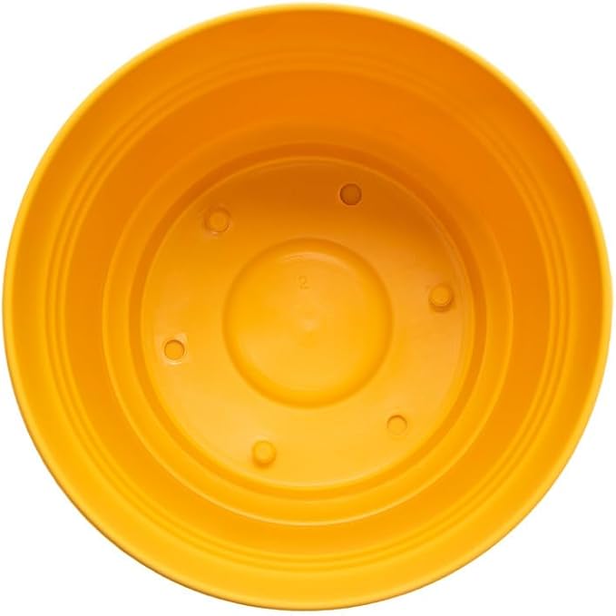 Bloem Saturn Planter w/Saucer (SP1023), Earthy Yellow, 10"