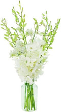 KaBloom - 10 White Orchid with vase - Fresh Flowers for Birthday, Valentine's & Mother's Day