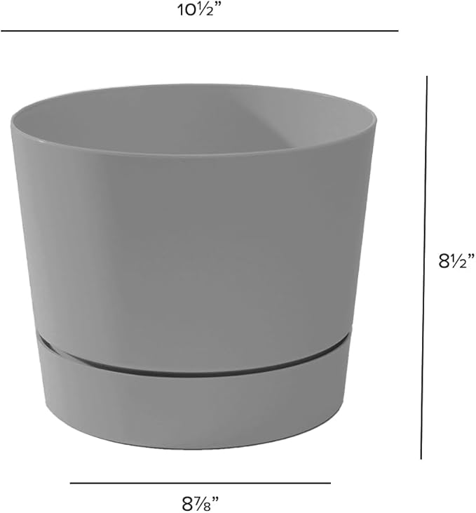 Root & Vessel Majestic Mid-Century Modern Low Profile Cylinder Pot, Matte Gray, 10.5"