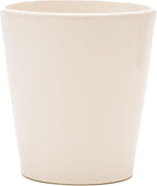 DecoBlooms Premium White 5” Orchid Live Indoor Plant (Modern Pot Included) – Grown in the USA - Fresh Flowering Home Decor Delivery for Birthday, Anniversary, Sympathy, Wedding, Mother's Day