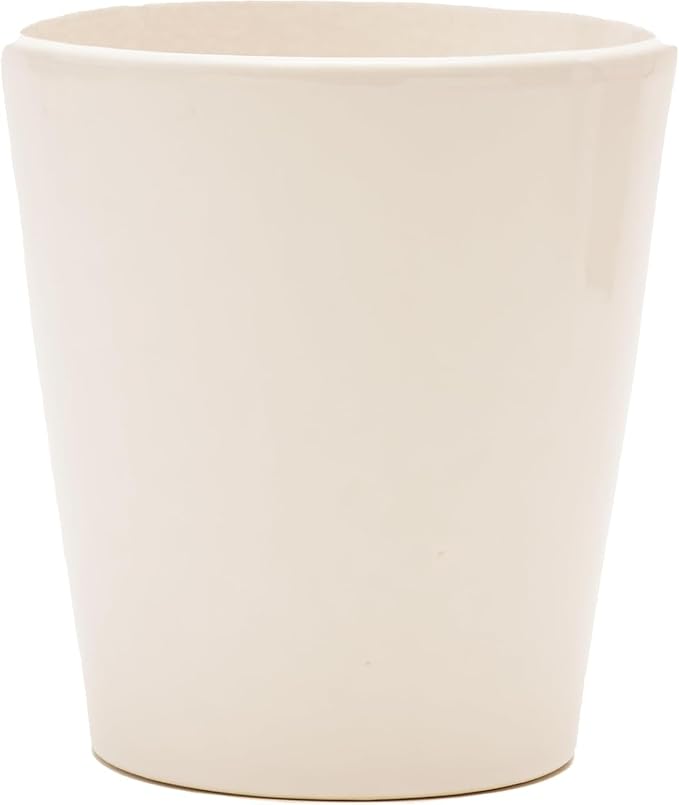 DecoBlooms Premium White 5” Orchid Live Indoor Plant (Modern Pot Included) – Grown in the USA - Fresh Flowering Home Decor Delivery for Birthday, Anniversary, Sympathy, Wedding, Mother's Day