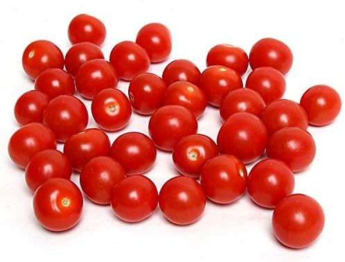 Harley Seeds 30 Sweetie Cherry a.k.a. Sugar Sweetie Tomato Seeds, Heirloom Non-GMO, Indeterminate, Extra Sweet, Heavy-Yielding, Open-Pollinated, Delicious, from USA Red