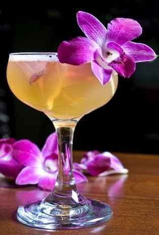 Miami Fresh Orchid Flower OrchidClub USA Sunne Tropical Loose Bloom DIY Lei Food Drink Decoration (50 BLUE 50 PURPLE)