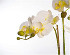 Orchid Artificial Flowers Faux Orchids Classic Orchids Artificial Living Room Planter Artificial Phalaenopsis Flowers Home Furnishing Artificial Flower Natural Look