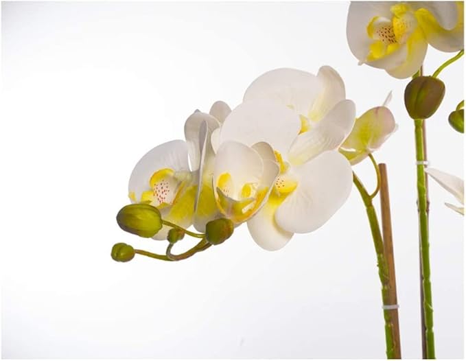 Orchid Artificial Flowers Faux Orchids Classic Orchids Artificial Living Room Planter Artificial Phalaenopsis Flowers Home Furnishing Artificial Flower Natural Look
