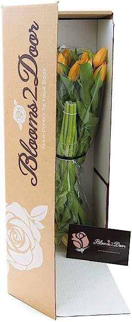 KaBloom - PREMIUM 20 Orange Tulips without vase - Fresh Flowers for Birthday, Valentine's & Mother's Day