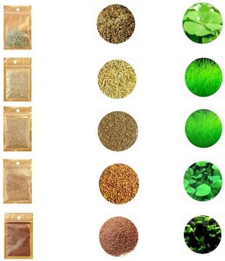 5 Bags Aquarium Plant S.e.e.ds, not Artificial Plastic Plant, Fish Tank Live Grass for All Substrate yjl133sz