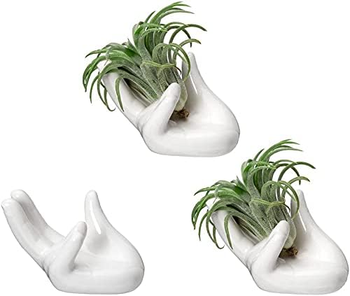 Dahey Air Plant Holder Cute Ceramic Mini Hand Shape Stand Airplants Tillandsia Small Container Pot Plant Decorative Home Decor for Desk Table Shelf,White,3 Packs