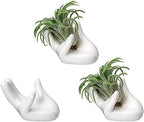 Dahey Air Plant Holder Cute Ceramic Mini Hand Shape Stand Airplants Tillandsia Small Container Pot Plant Decorative Home Decor for Desk Table Shelf,White,3 Packs